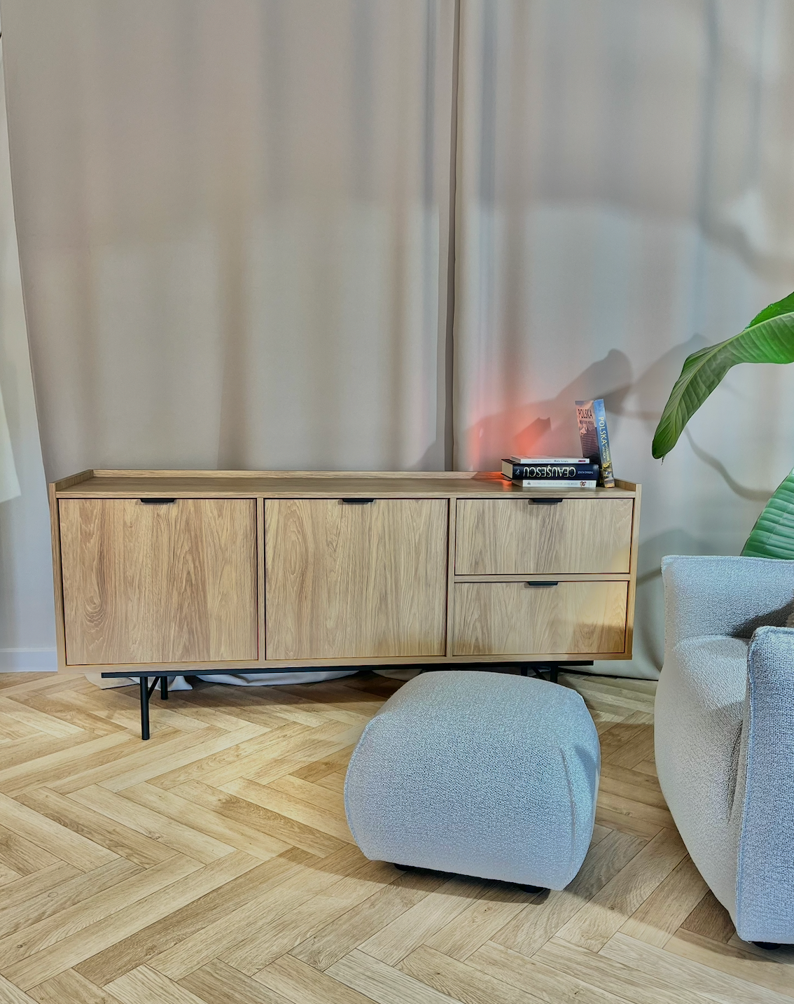 Komoda 2d2s Edison - Dąb Hikora